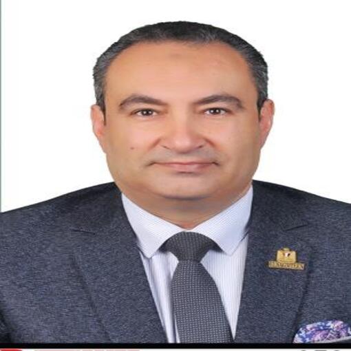 أ.د/ محمد احمد محمد ماضى