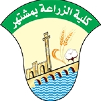رئيس جامعة بنها يشهد حصاد سلالتي الأرز «بداية 1» و«بداية 2» تمهيدًا لتسجيلهما كصنفين جديدين عاليي الإنتاجية