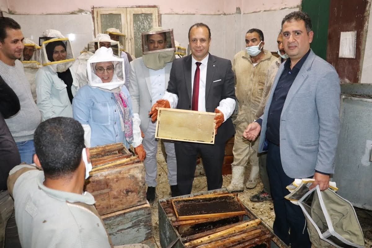 فعاليات فرز نحل العسل داخل وحدة انتاج العسل بكلية الزراعة بمشتهر