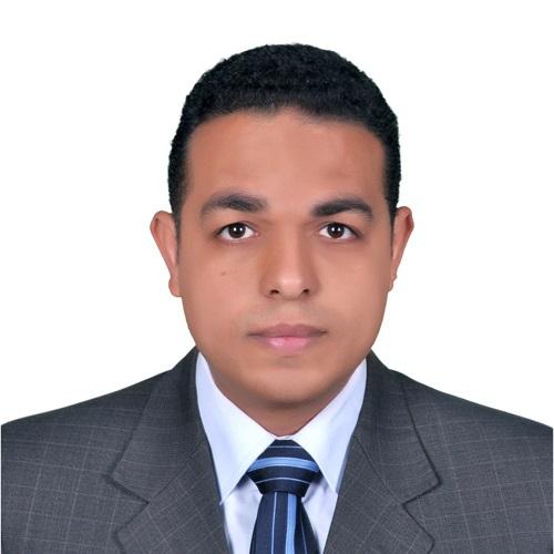 أ.د. محمد شعبان محمد حسان