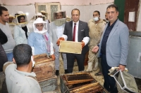 شهدت كليه الزراعة بمشتهر عن فعاليات فرز نحل العسل داخل وحدة انتاج العسل . فرز عسل النحل