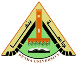 إتفاقية تعاون في مجال الإتصالات وتكنولوجيا المعلومات بالجامعات المصرية