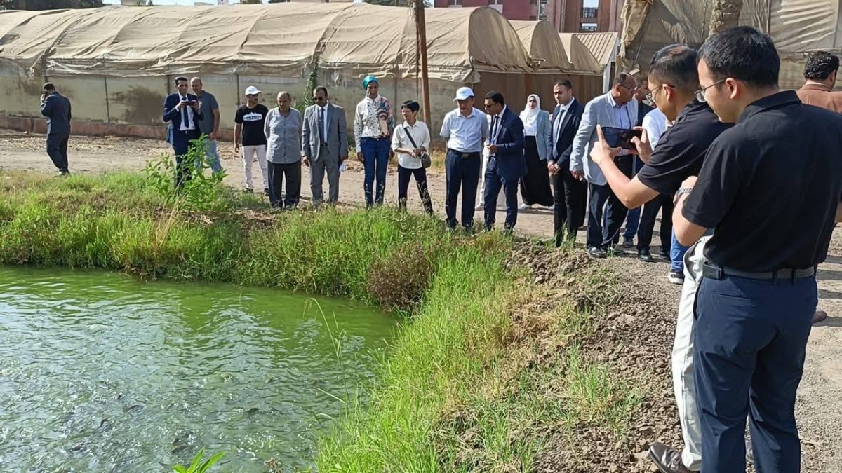 وفد جامعة فوشان الصينية يتفقد المزارع والمعامل البحثية بجامعة بنها