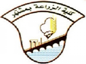 مهرجان ابداع 9