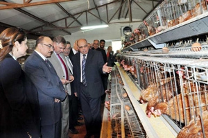 سفير بلجيكا لدى القاهرة يشيد ابمشروعات الثروة الحيوانية بجامعة بنه